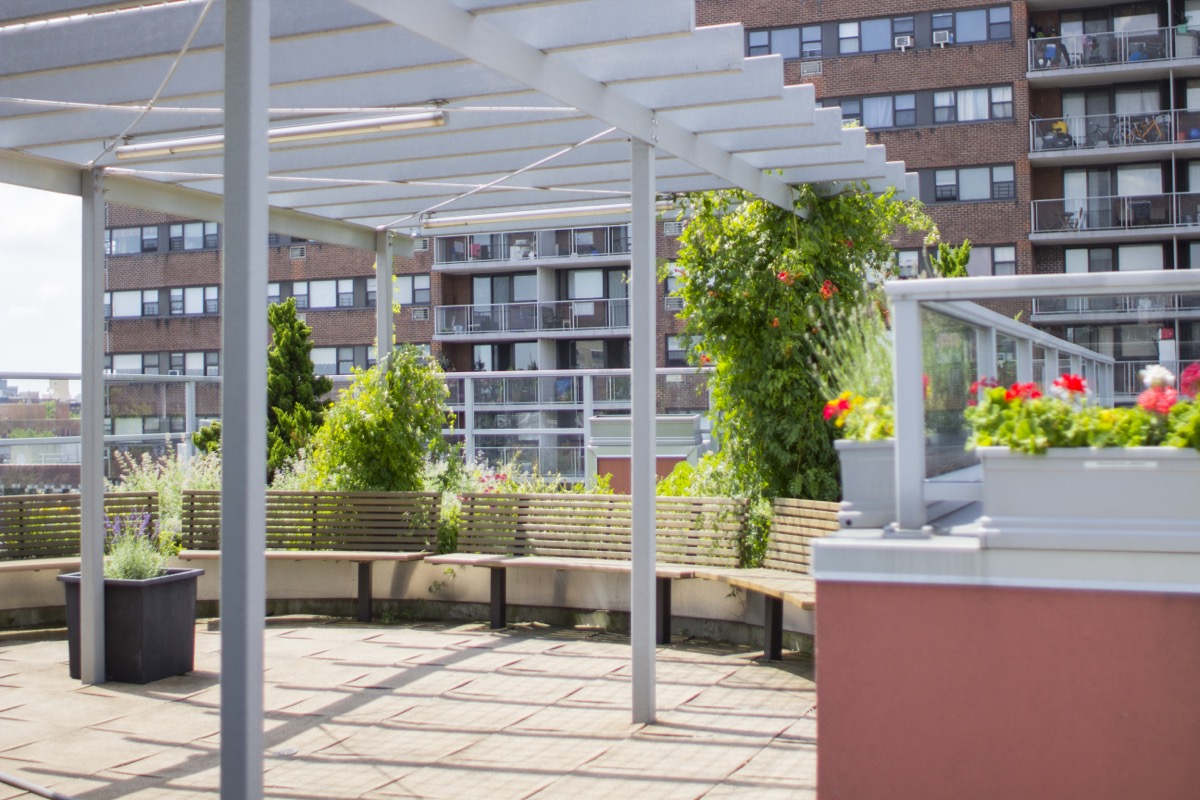 Photo Rooftop Garden